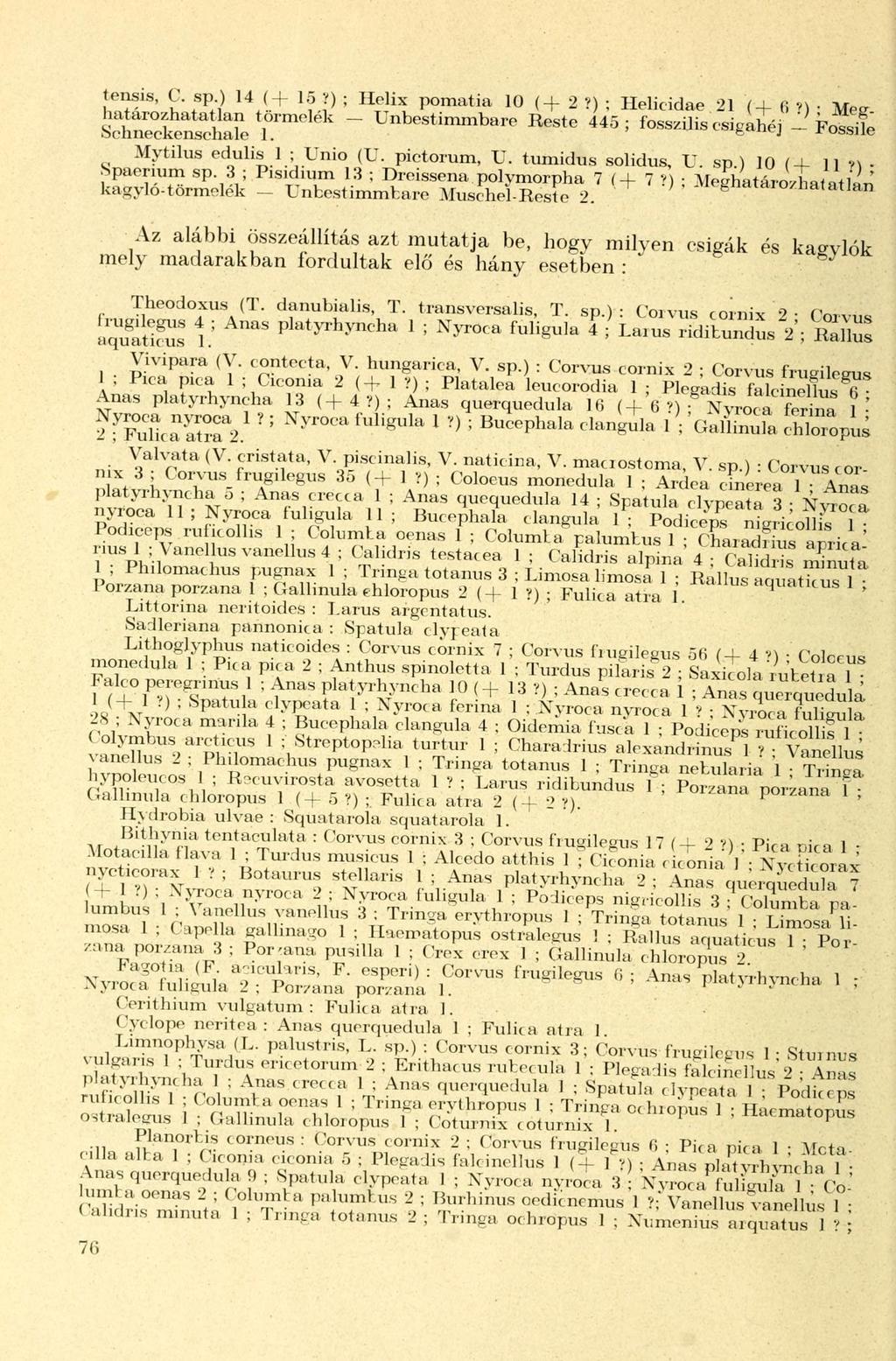 tensis, C. sp.) 14 ( + lő V) ; Helix pomatia 10 (+ 2 V) ; Helieidae 21 (+ fi V) ; Meghatározhatatlan törmelék Unbestimmbare Reste 445; fosszilis csigahéj Fossile.Schneckenschale 1.