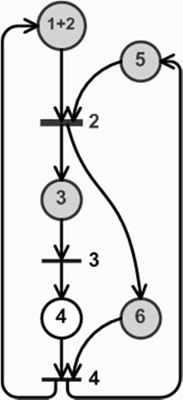 Martinez-Silva algoritmus: 2-1, 2-2.