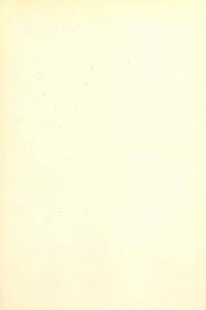 201 280. Komárom, 1902. Aug. 17. 1. öetaria viridis 41 drb. (St.) 2. Medicago lupulina mag (Samen) 2 drb. (St.) 3. Setaria glauca terméstörmelék (Fruchtfragmente) 1 drb. (St.) 4.
