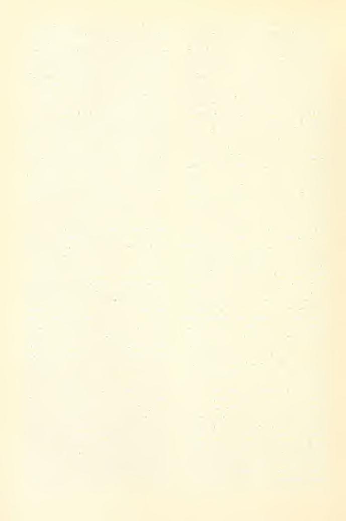 170 liehe Fragmente, viele). 8. Rovart öriiielék, kevés (Insektenfragmente, wenige). 9. Kavics (Steinchen 185 drb. (St.) Ut. 2, 3, 4, 5, 6, 8. Nox. 1. 29. Köszeri, 1898. Aufj. 1. Öreg (alt) d 1.