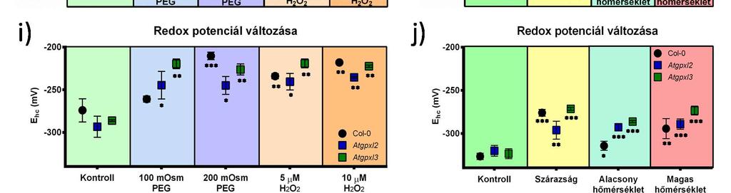 Glutation tartalmak, redukált és oxidált formák i) j) A GSH és GSSG mennyiségekből számított fél cella redox