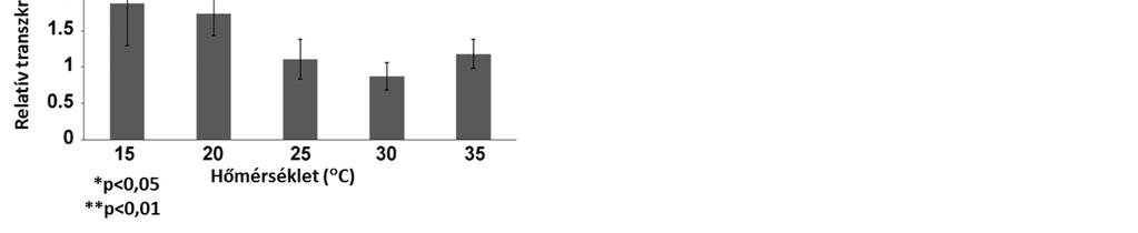 hőmérséklet csökkentésének (34 C-ról 17 C-ra) hatására emelkedett meg a karoinoid tartalom (hét és félszeresére) (ORSET és YOUNG 1999). 10. ábra.