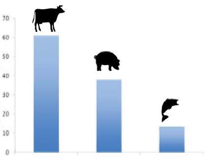 kg gabona/ kg halprotein-egyenérték* előállítása kg/tonna protein termelésével foszfor