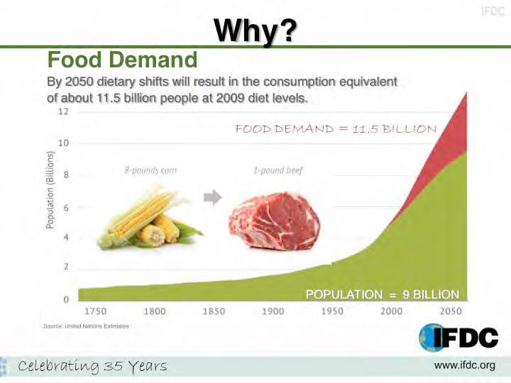 Élelmiszerigény 2050-ben A 2009.