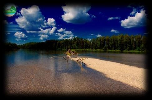 00 MURASZENTKERESZT (KRIŽOVEC) o A Mura-Dráva Regionális Park meglátogatása, amely a Mura- Dráva-Duna Határokon