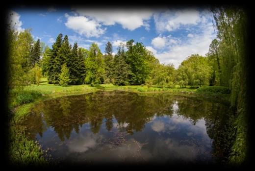 12.15 13.40 BUDAFAPUSZTA o Kirándulás a Budafai arborétumban (szeptemberben zárva), információ magyarul: http://www.zalaerdo.hu/en/termeszetikincseink/arboretumok/budafai-arboretum.