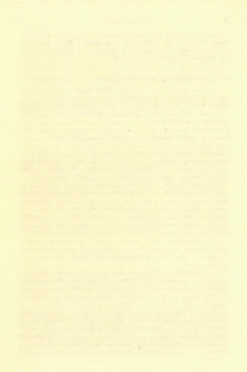 142 BÖHM FEKENCZ (4) is találhatók. Ezek, mint pneumatolitos képződmények, nincsenek a réteglapok irányában elhelyezve, hanem azokat keresztezik.