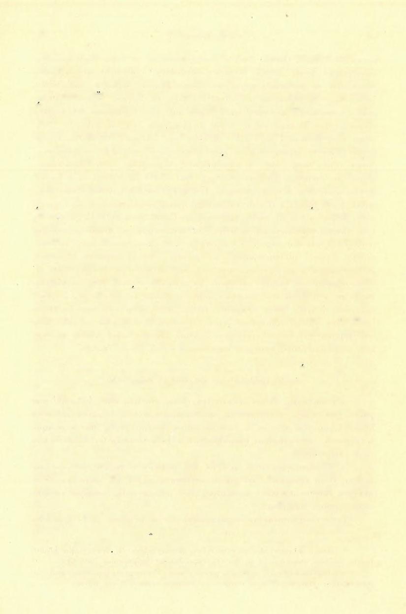 (5 ) FÖLVÉTELI JELENTÉS. 143 egyetemi tanár úr, ki egyébként mint első vetett világot e kőzetek eredetére.