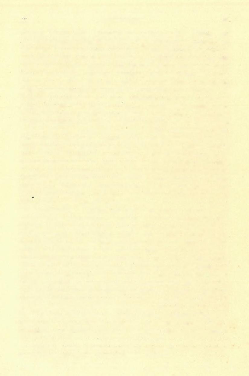 (') FÖLVÉTELI JELENTÉS. 145 leginkább eltérő tagját a quarczitbreccia képezi, melyet K.