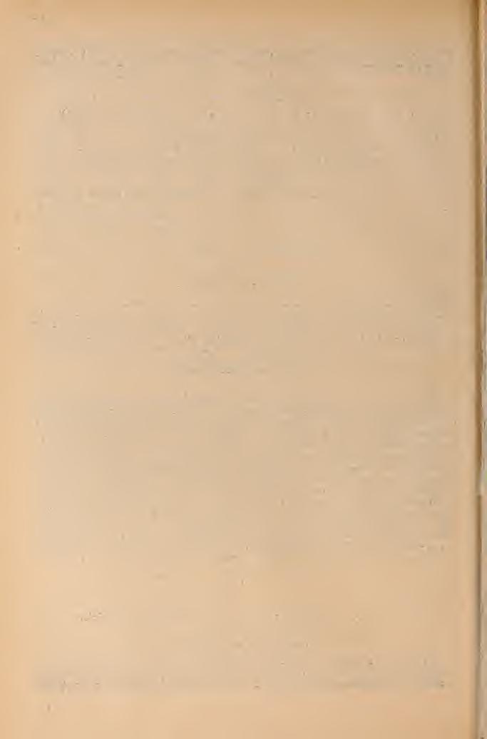.50 Ufimia sp. nox;. -t A lelet szürke, márgás palában feküdt, képét is közli munkája VII. táblája 16. ábráján. Ennek az ábrának másolatát közlöm én is fenti ábrámon.
