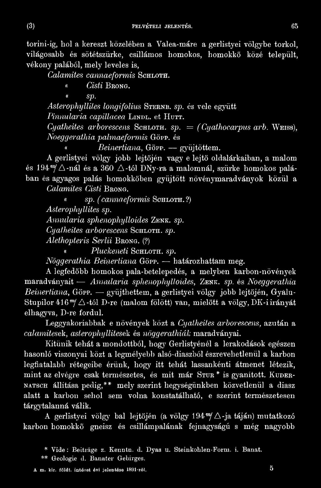 A gerlistyei völgy jobb lejtőjén vagy e lejtő oldalárkaiban, a malom és 1 9 4 7 A-nál és a 360 A -tói DNy-ra a malomnál, szürke homokos palában és agyagos palás homokkőben gyűjtött növénymaradványok