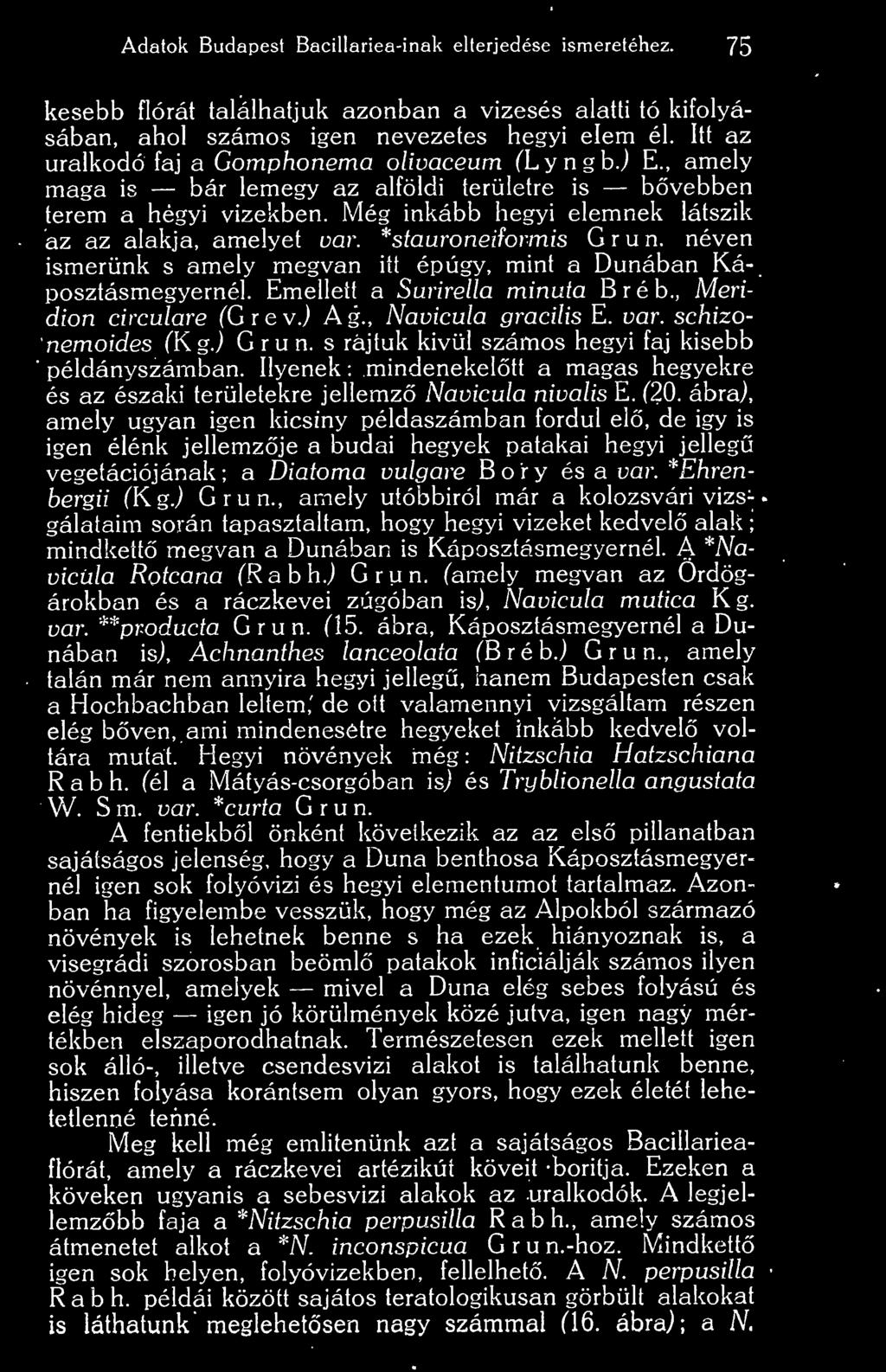 *stauroneiformis G r u n. néven ismerünk s amely megvan itt épúgy, mint a Dunában Káposztásmegyernél. Emellett a Suiirella minuta B r é b., Meridion circulare fg r e v.) A g., Navicula gracilis E.