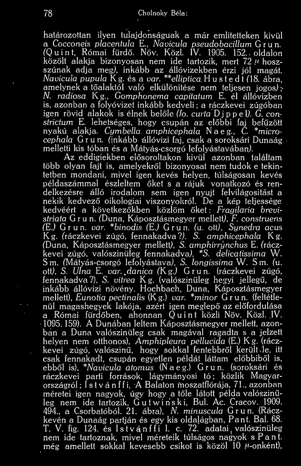 ábra, amelynek a talaktól való elkülönítése nem teljesen jogosj ; N. rádiósa Kg., Gomphonema capitatum E.