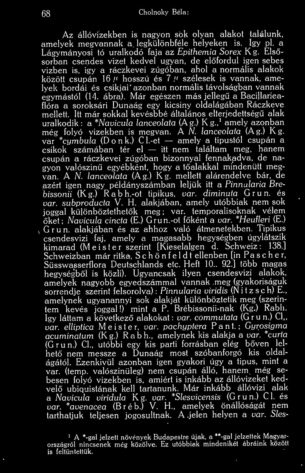 azonban normális távolságban vannak egymástól (14. ábra). Már egészen más jelleg a Bacillarieaflóra a soroksári Dunaág egy kicsiny oldalágában Ráczkeve mellett.