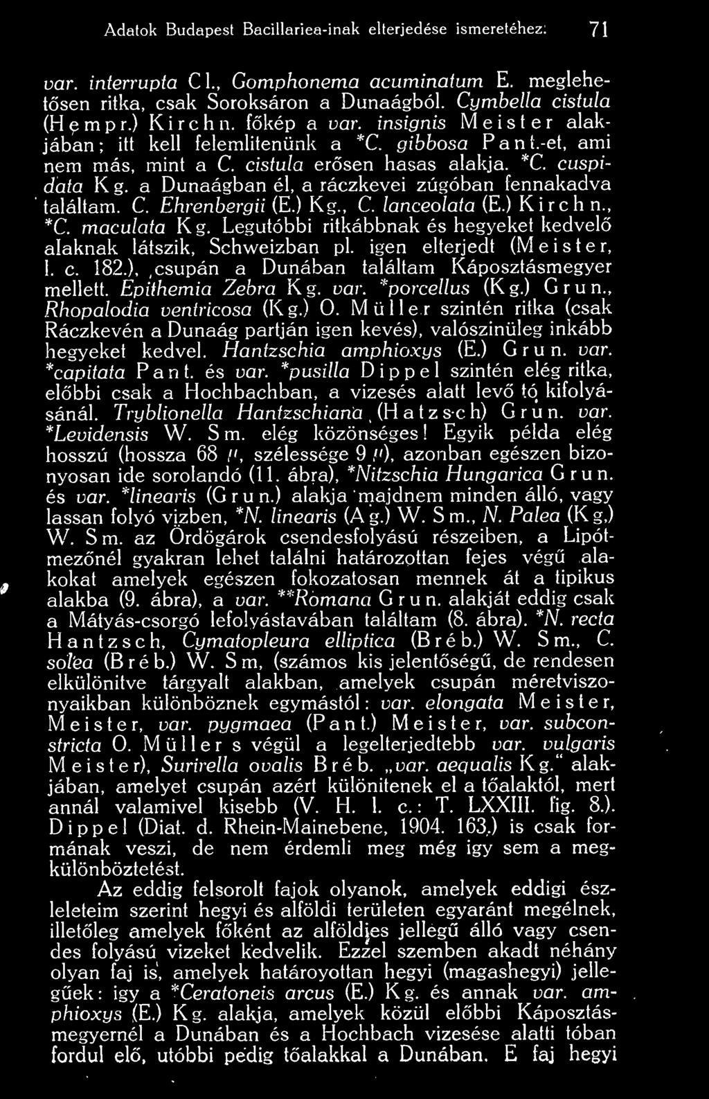 Müller szintén ritka (csak Ráczkevén a Dunaág partján igen kevés), valószinüleg inkább hegyeket kedvel. Hantzschia amphioxys (E.) Grun. var. *capitata Pánt. és var.