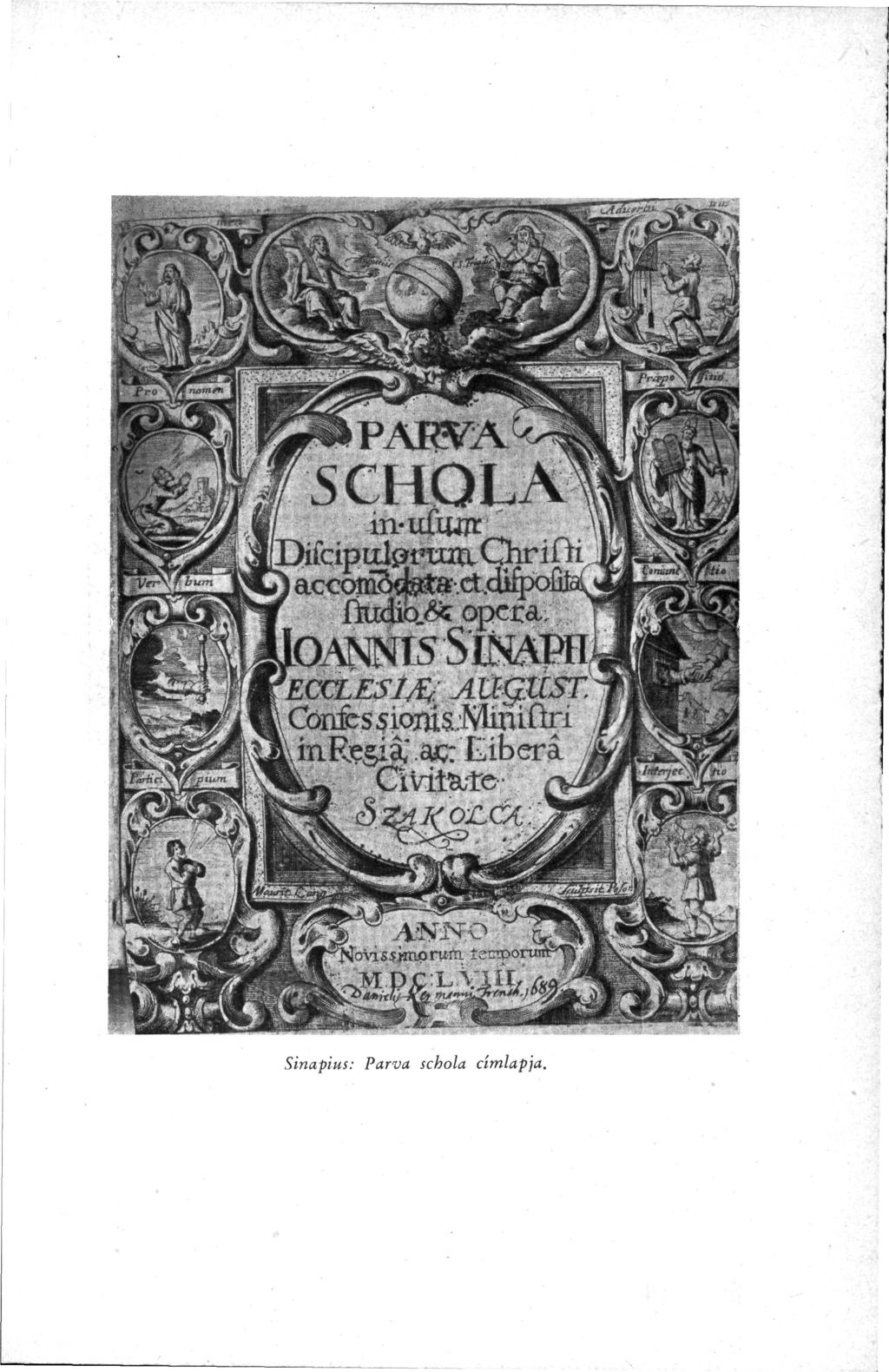 Sinapius: Parva