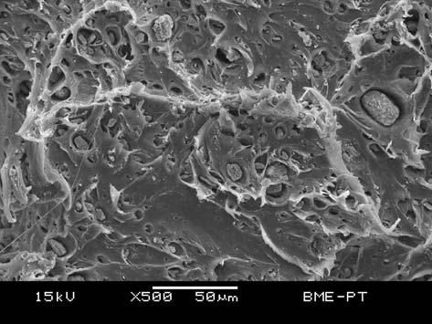 9. ábra. A szakított PLA/25% CaSO 4 -StAc minta SEM felvétele 7. ábra. A PLA/CaSO 4 kompozitok folyási feszültségének öszszetételfüggése kezelés hatására a mintákban valószínûleg homogénebb a töltõanyag-eloszlás, egyenletesebb a szerkezet.