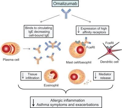 Omalizumab