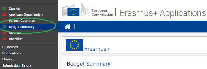 II. Pályázati folyamat Web e-form Pályázni kívánt összeg - költségvetés: Budget Summary (Költségvetés
