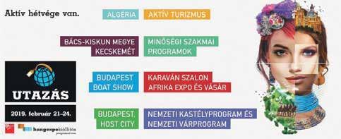 35 éve, februárban is! teljesen sötét legyen, mely nyugalmat biztosít a betgnek. Ha 2-3 óra alatt nem röpképes, akkor hívjanak, hozzák be, vagy küldünk érte.