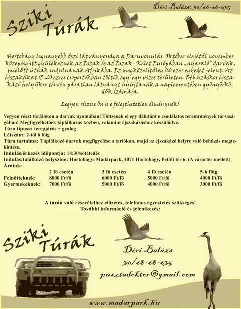 A látogató megismerheti a Madárkórház Alapítvány munkáját, végig követve a madármentés lépéseit a terepi elsősegélynyújtástól a kórházi ápoláson át szabadon bocsátásig A több, mint egy hektáros