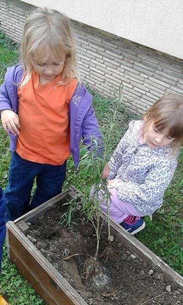 Mindemellett kibővítésre került a fűszernövénykertünk és