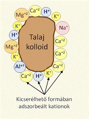 Természetes folyamatok