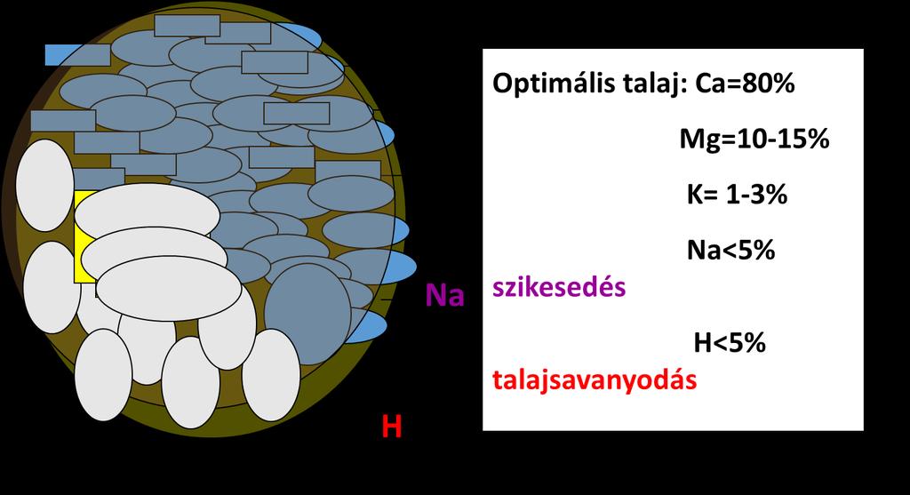 A talaj kémia