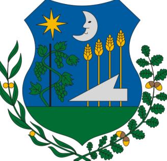 Mellkassebészeti