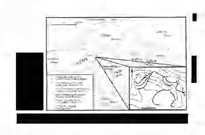 1. ábra. A Gerecse nagyszerkezeti helyzete (CSONTOS 1995 után), valamint a Bersek-hegyi fejtő topográfiai térképe.