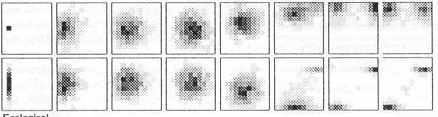 t=30 t=100 t=400 t=1090 t=1150 t=2000 Marker jelleg Ökológiai jelleg ½¾º º Ö º Þ ÓÐ ÐÐ Ô ÖÓ Ó ÔÖ Ö Ò ÚÓÐ Þ ÜÙ Ð ÑÓ ÐÐ Òº µ Ô ÖÓ Ó Ú Ð Þ Òò Þ ÓÐ ÐÐ Ò Ð Ú Ð Ò Ø Ð º ÐÐ Þ ØÚ Ð ÓÒÐ Þ ØØ Ô ÖÓ Ó ¾¼¼¹ ¼¼ Ò