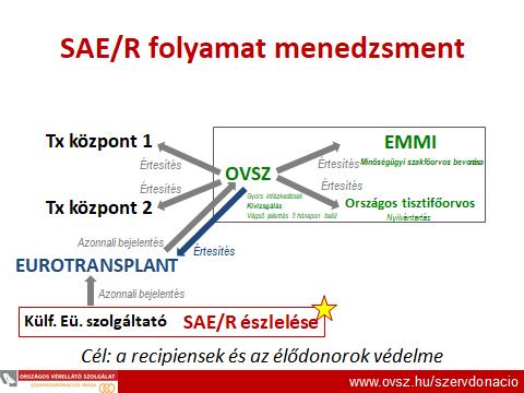 Külföldi szolgáltató által történő