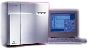 Sequest Database Search Mass Spectrometer Protein Database Nucleic Acid Database EST Database Tandem Mass Spectrum Theoretical Mass Spectrum Peptide database