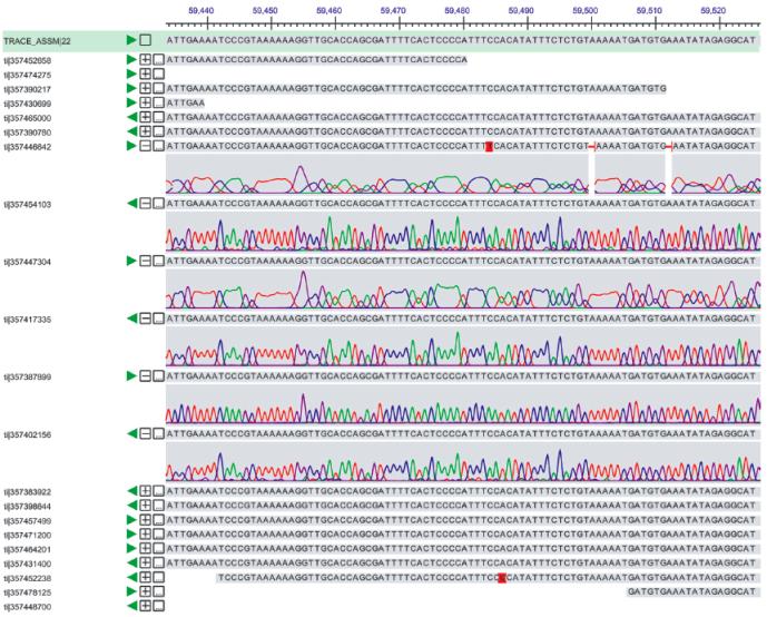 Pairs Give Order & Orientation Anatomy of a WGS Assembly Assembly without pairs results in contigs whose order and orientation are not known. Contig?