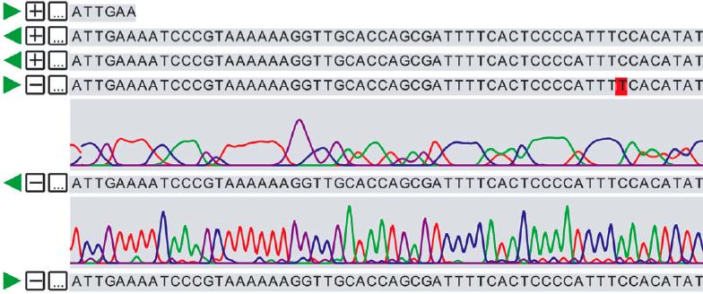 is known Read pair (mates) STS STS-mapped Scaffolds Contig Gap (mean & std. dev.