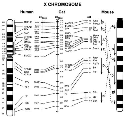 organisms 1998 Other C. pa