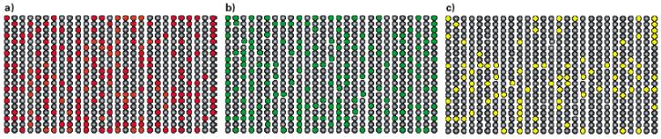 transcriptase or Cy3