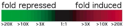 Ratios of experimental to control
