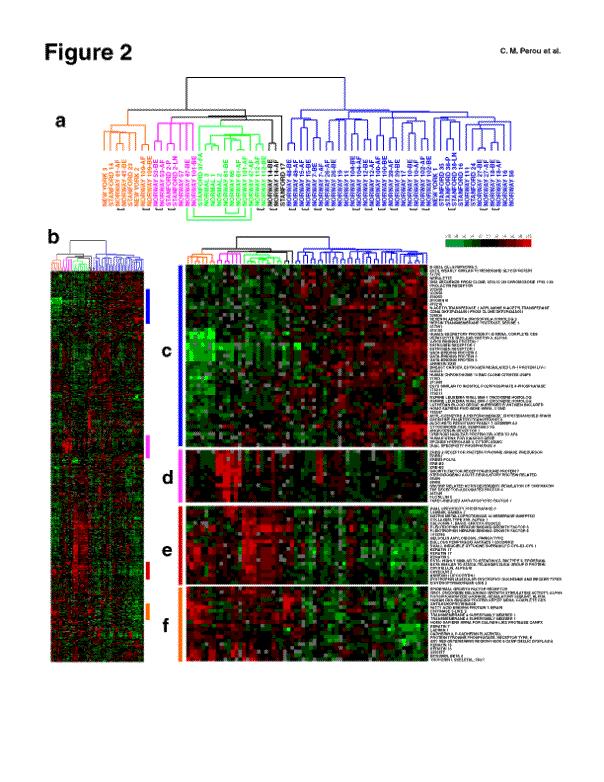profiles Clustered Microarray Data