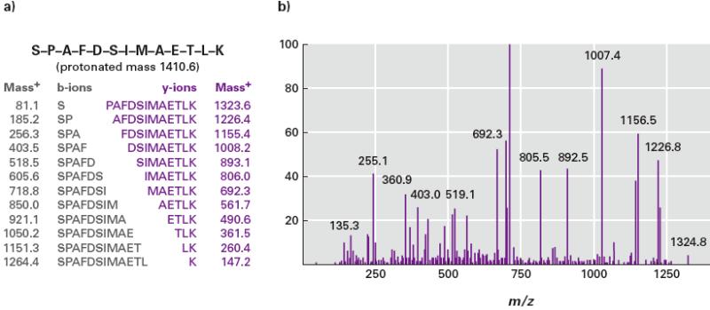 Tandem MS protein data Sequest Database Search Mass Spectrometer Protein Database Nucleic Acid Database EST Database Tandem Mass Spectrum Theoretical Mass Spectrum Correlation Analysis Ranked Score