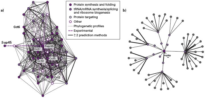 Protein Networks, often established by Y2H studies Homologous chromsomes (in a