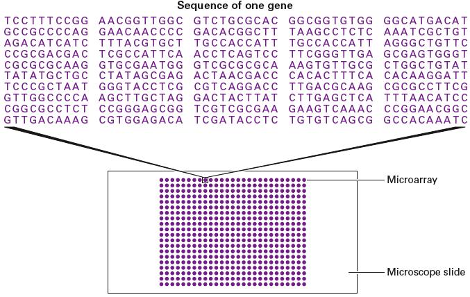 cdna array grid cdna