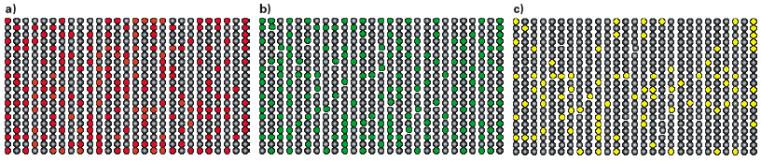 ScanArray