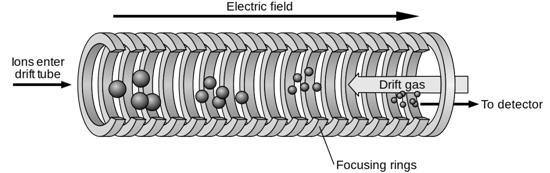 : kvadrupól(q)-orbitap Q-IM-TOF IM MS: ion mobilitás/ionmozgékonyság spektrométer o elve hasonlít a TOF-ra, de itt nitrogén árammal szembe mennek az ionok, így