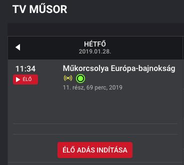 Az ajánlók alatt található a műsorújság: A csatorna oldalakon minden adó esetében látható a