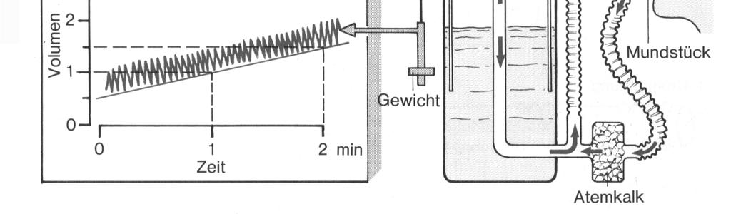 Indirekt kalorimetria az oxigén fogyasztás mérése C x H y O z + no 2 x CO 2 + h H 2 O