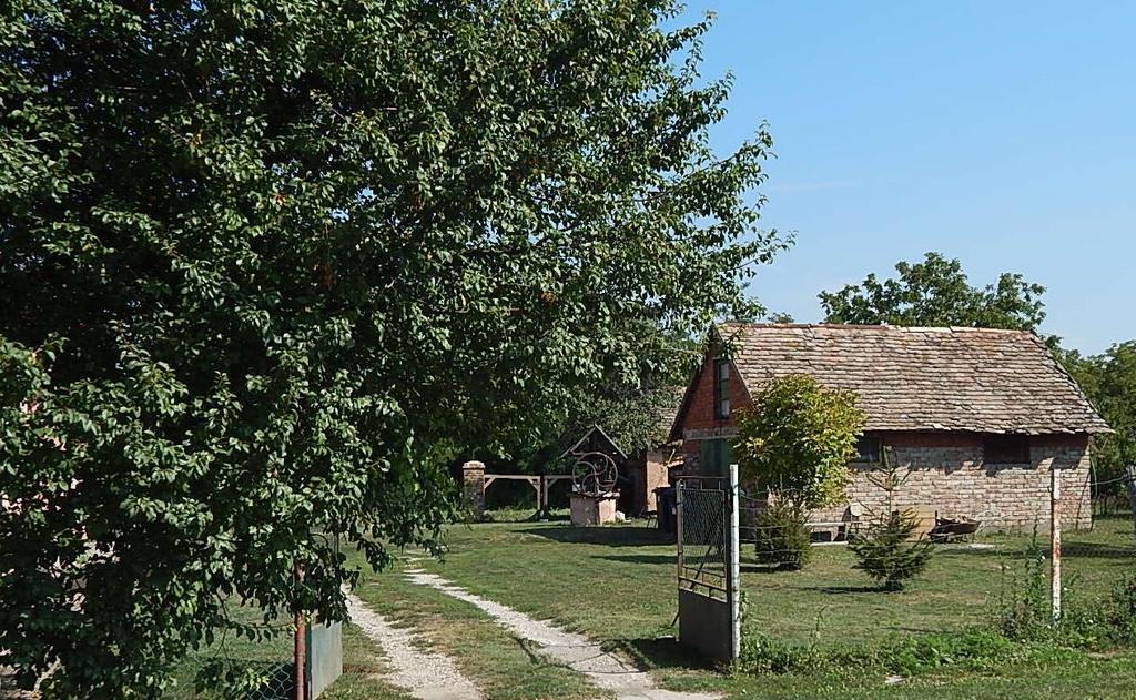 Gondozott, ápolt udvar a történeti rész északi oldalán 6.