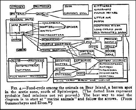 1923. Contributions to the ecology of