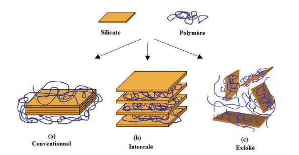 Chapitre I Matériaux composites et nanocomposites II-3 Dispersion des nanoargiles La difficulté dans l élaboration de nanocomposites est la dispersion des particules dans la matrice.