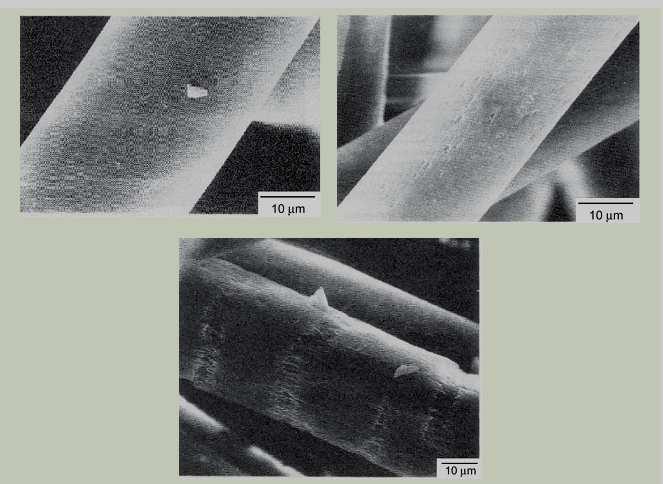 Chapitre II Fibre polyester issue du recyclage mécanique du PET (a) (b) (c) Figure II-2 Morphologie des fibres PET